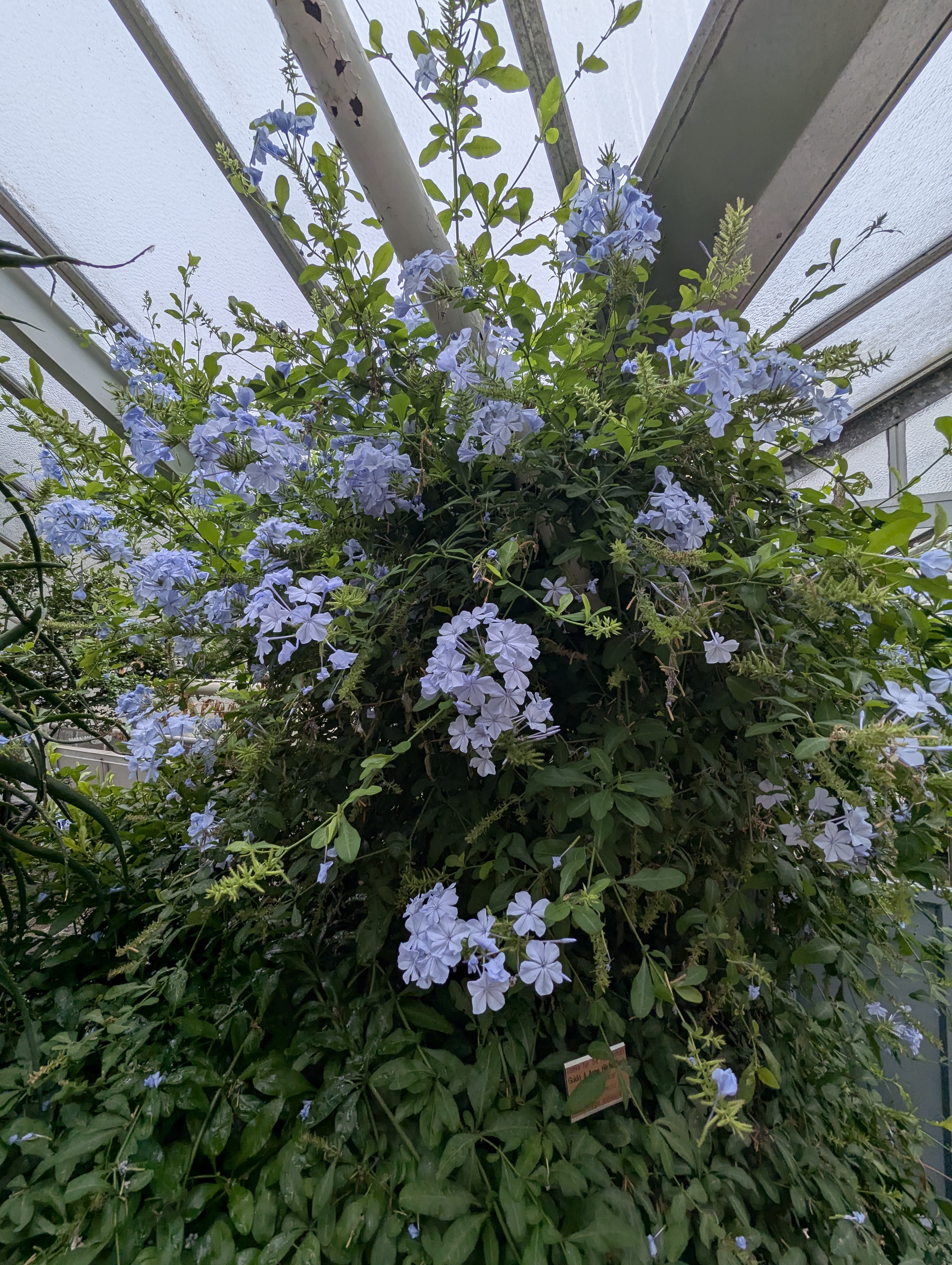 Botonic Gardens, Muenster, Germany